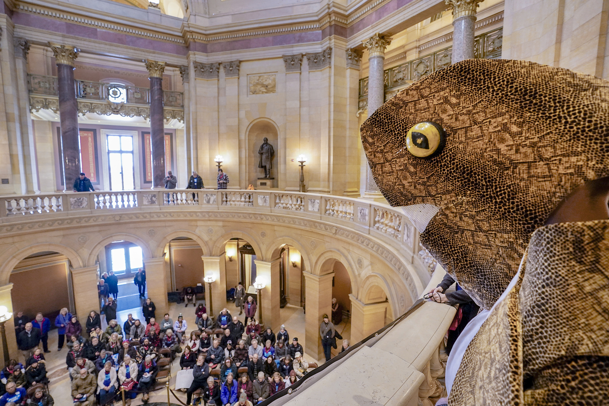 Thor Reimann of Apple Valley wears a gar costume while attending a Boundary Waters Day at the Capitol rally Jan. 23. (Photo by Michele Jokinen)